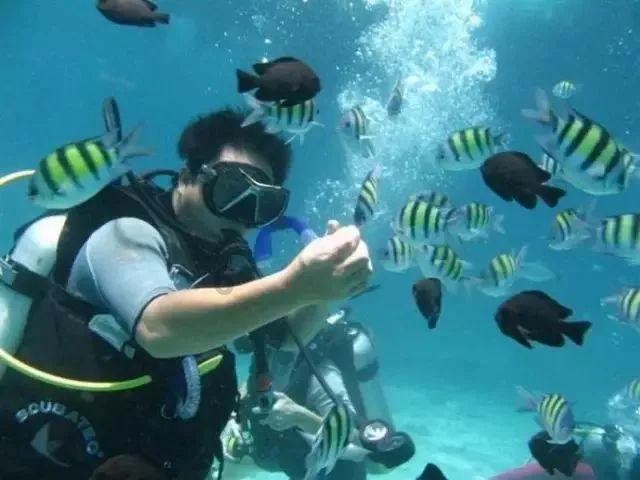 首届湖南沅陵“沅滋沅味”年货节盛大开幕
